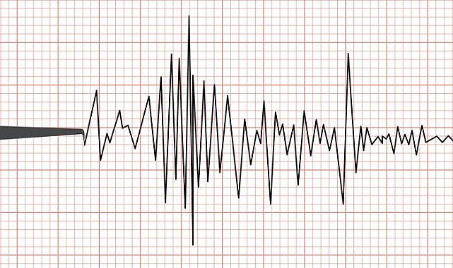 Gürcistan'da korkutan deprem! Tiflis'te de hissedildi