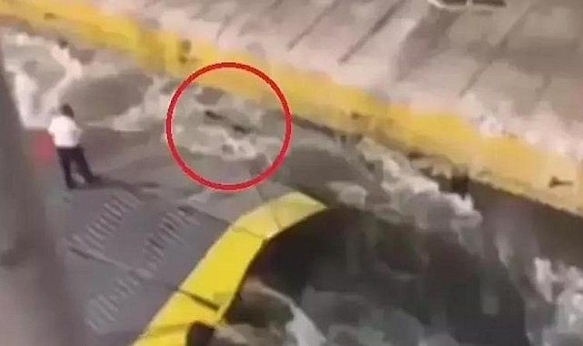 Skandal sonrası Yunan bakandan istifa kararı