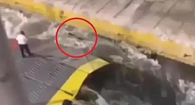 Skandal sonrası Yunan bakandan istifa kararı
