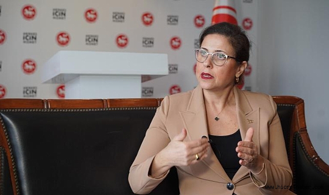 (DP) Genel Başkan Yardımcısı İlay Aksoy,