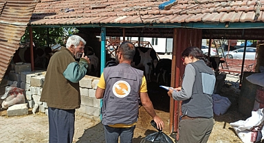 Hayata Destek Derneği deprem bölgesindeki 3.600 hayvanın yem ihtiyacını karşıladı