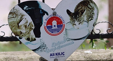 Maltepe Belediyesi’nden 5 ton mama
