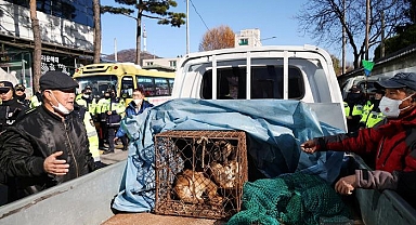 Köpek eti tartışmaları Güney Kore'yi karıştırdı! 'Savaşacağız' sloganları attılar