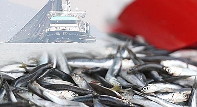 İstanbul Boğazı'nda '24 metre' tartışması: Sosyal medyada gündeme gelen iddialar sonrası isyan ettiler