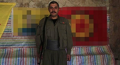 MİT'ten PKK'ya ağır darbe! Cesur Vedat öldürüldü