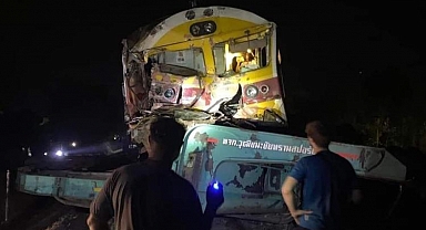 Yolcu treni hemzemin geçitteki vince çarptı