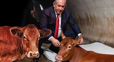 İsrail kehanetlerden medet umar hale geldi! Dolaşıma sokulan fotoğraf din savaşlarının ilk kıvılcımı olabilir: Dalga dalga yayılacak