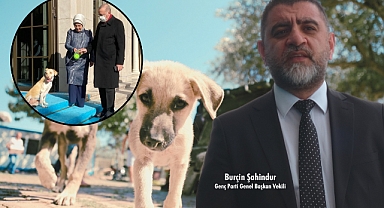 Genç Parti’den sert çıkış: Ülkede başıboş köpek değil, krizi bilinçli büyüten iktidar sorunu var!