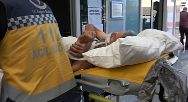 İstanbul'da bayramın ilk günü 916 acemi kasap yaralandı