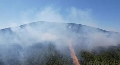 Aydos Ormanı'nda Yangın: Dumanlar Gökyüzünü Kapladı