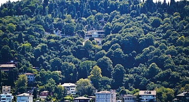 Boğaz'daki kaçak yapılaşma durduruldu!