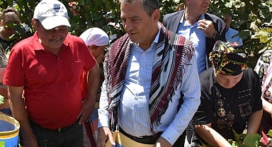 Özgür Özel fındık fiyatına sessiz kalmadı: ‘‘Karadeniz’in iflası demektir’’