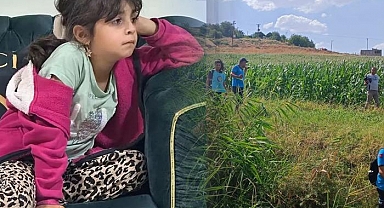 Diyarbakır'da Kayıp Narin Güran Vakası: Şüpheler Amca Üzerinde Yoğunlaşıyor