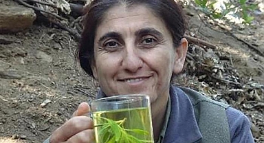 MİT'ten bir nokta operasyon daha! Saliha Akbıyık etkisiz hale getirildi