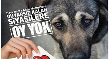 Taner Dinçkurt Sosyal Medyadan Tepkisini Dile Getirdi: