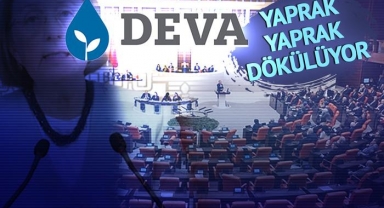 DEVA Partisi'nden üst üste iki gündür istifa haberleri geliyor. Selma Aliye Kavaf da istifa etti.