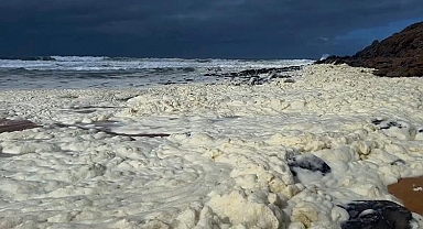 Avustralya'da beyaz köpük alarmı: Balıklar öldü plajlar kapandı