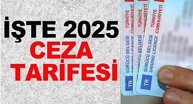 2025 trafik cezaları ne kadar oldu?