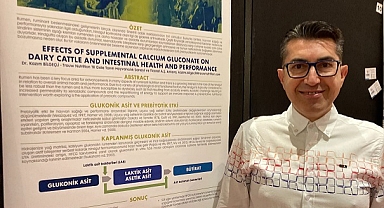 Sıcak havalarda hayvan sağlığını ve verimliliğini optimize etmenin yolu serin su temininden geçiyor