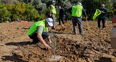 İHH'dan 3 ildeki çiftçilere 25 bin fidan desteği