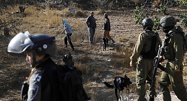 İsrailli Yerleşimciler Filistin Topraklarına Baskın Düzenledi: Meyve Ağaçları Kesildi