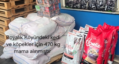 Erzincan İliç’te Kış Zorlayınca Boyalık Köylüleri Sahipsiz Hayvanlara Sahip Çıktı 