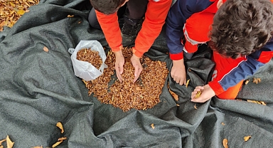 Harmancık’ta yanan ormanlara tohumlar serpiliyor 