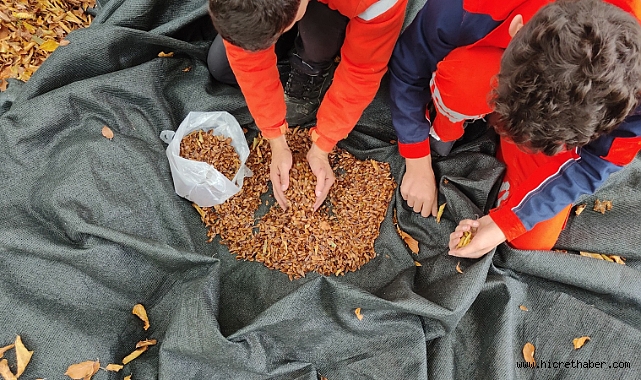 Harmancık’ta yanan ormanlara tohumlar serpiliyor 