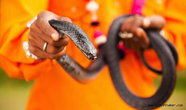 Hurgada'da Yılan Şovu Faciası: Alman Turist Hayatını Kaybetti