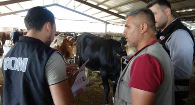 Adıyaman’da Kurban Pazarlarında Sahte Para ve IBAN Dolandırıcılığı Uyarısı