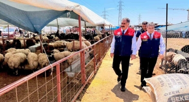 Mersin’de Kurban Bayramı Öncesi Kurbanlık Satış Noktalarına Sıkı Denetim