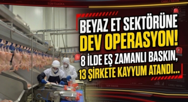 Beyaz Et Sektörüne Dev Operasyon: 8 İlde Eş Zamanlı Baskın, 13 Şirkete Kayyum Atandı 