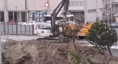 Küçükçekmece'de Vicdanları Yaralayan Görüntüler: Ağaçlar Neden Kesildi? 