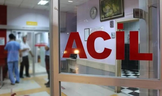 Kastamonu'da Dalından Yedikleri Kiraz Can Aldı İddiası! Karı Koca 11 Gün Arayla Hayatını Kaybetti