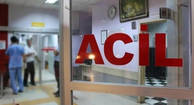 Kastamonu'da Dalından Yedikleri Kiraz Can Aldı İddiası! Karı Koca 11 Gün Arayla Hayatını Kaybetti