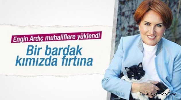 Bildiğiniz gibi MHP içinde bir iktidar mücadelesi var.