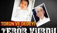 Cizre'de dede ile torunu terör vurdu!..