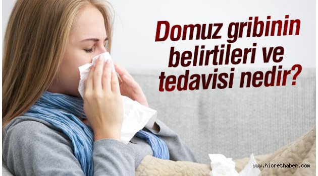 Domuz gribi belirtileri ve korunma yöntemleri