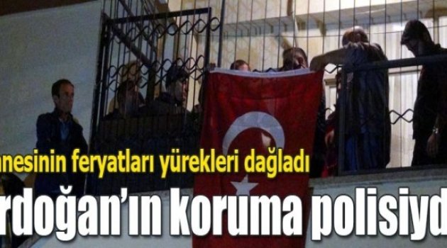 Mersin'den yükselen acı feryatlar!