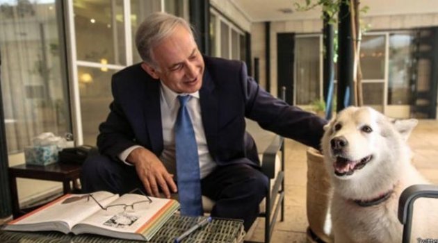 Netanyahu’nun köpeği konuklara saldırdı!