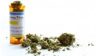Obezite savaşında yeni çözüm: Marihuana