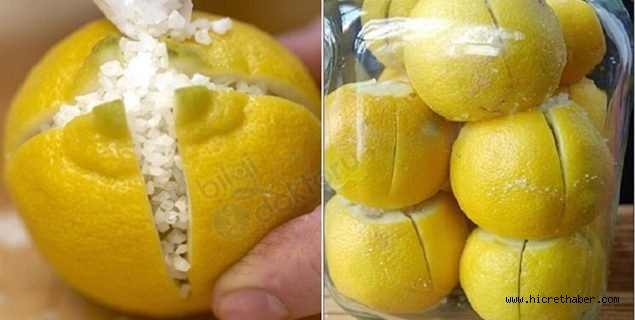 Odanızdaki Limon’un Hünerleri