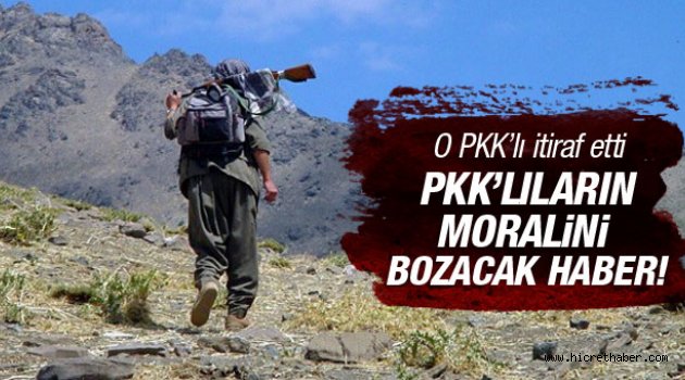 PKK'lı teröristlerden Kandil itirafı