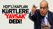 HDP'li Hasip Kaplan Kürtlere 'yavşak' dedi