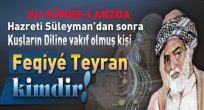 Feqiyé Teyran Kimdir