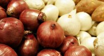 Bir ailenin yaşadıkları soğanın önemini gözler önüne seriyor.