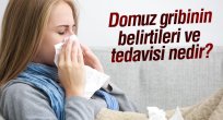 Domuz gribi belirtileri ve korunma yöntemleri