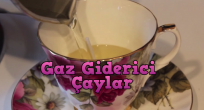 Gaz giderici bitki çayları nelerdir