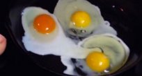 Hangi renkteki yumurta daha sağlıklı?