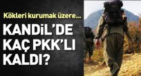 Kandil'de kaç terörist kaldı?